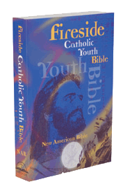 The Catholic Youth Bible 