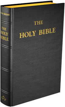 Douay-Rheims Bible (Large size)